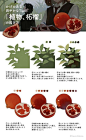 (5474) Pinterest