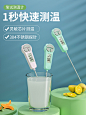 水温计婴儿奶粉测量计食品温度计烘焙厨房油温测温计测温针1950-tmall.com天猫