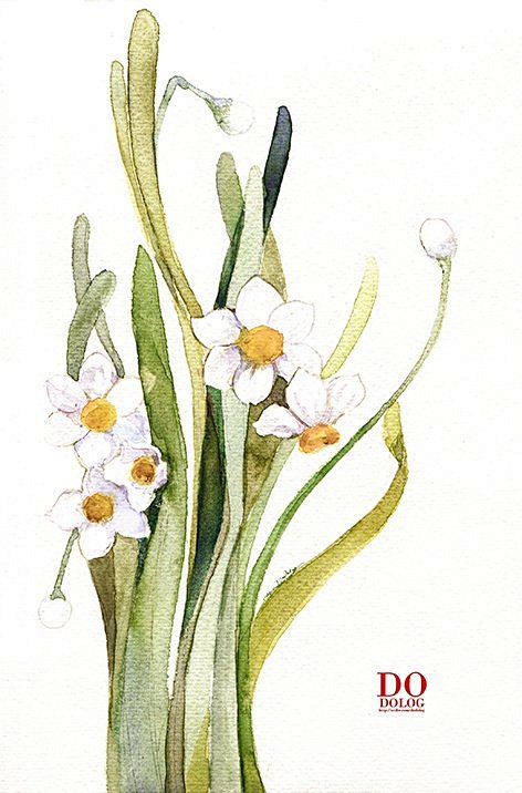 水彩画：花