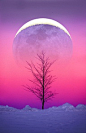 Winter Moonrise