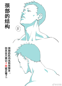 Head-Clouds采集到身体动态