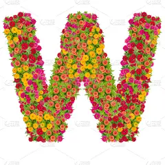 字母W由百日菊做成的字母表ABC概念型为标志。排版设计与剪切路径