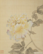 《牡丹十六种》册由清代宫廷画家蒋廷锡绘于康熙六十一年（1722年）。全册十六开，描绘折枝牡丹十六种，均照紫禁城花园中所植牡丹而临，这里展示了设色相对清雅的前八开。