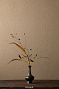 日本的花道中，无论是春华秋实，还是嫩芽枯枝，都称之为花。他们认为，花有这种突然开和突然落的神奇，是因为有花灵在四处流窜，所以哪怕是枯萎，它也有一种从形走向神的自由之美。丨花艺:川濑敏郎