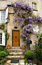  紫藤，房子的入口