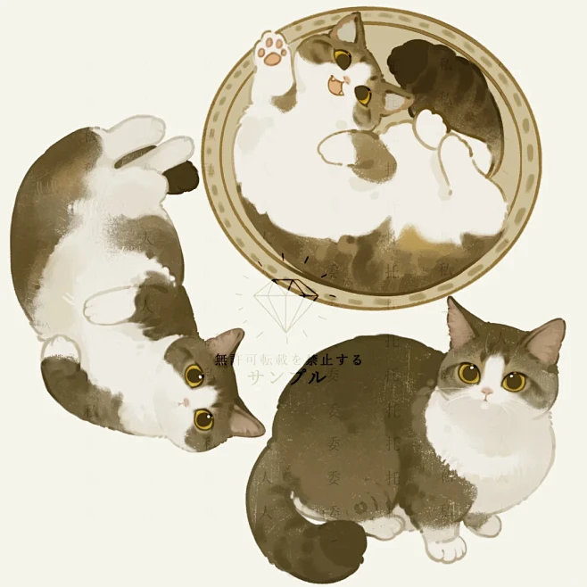 有人需要来只小猫么！ - 小红书