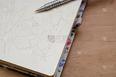 秋叶的铅笔轮廓。在一个开放的手绘草图