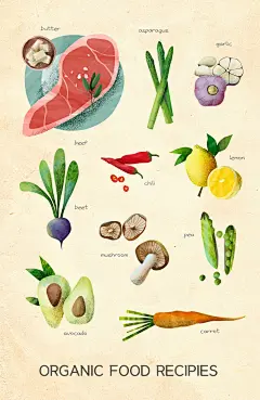 什锦青菜餐饮海鲜美食食材佐料美食手绘插图插画设计PSD格式