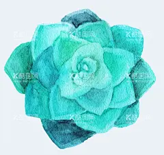 png格式植物花卉手绘素材  - 源文件下载【酷图网】插画,卡通,花型,手绘,盆栽,植物,花卉,素材,插图,花朵,仙人掌,多肉,