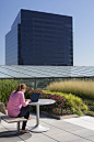 101海港大道办公屋顶花园 Seaport Boulevard by Copley Wolff Design - 灵感邦_ideabooom