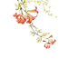 古风素材