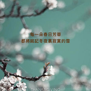 汤臣一品租售中心的微博_微博