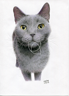 小红LR采集到彩铅插画