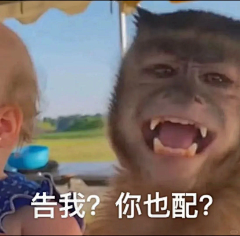 名字切一半采集到1-3