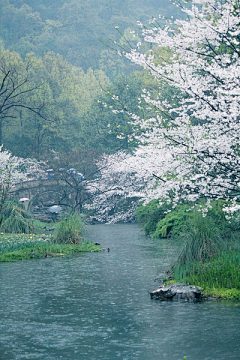 baby微笑看世界采集到场景