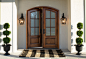 exterior_view_of_wood_entry_door_with_glass.jpeg (1763×1200)