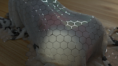 aone丸子采集到C4D应用测试