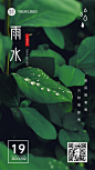 雨水节气实景手机海报