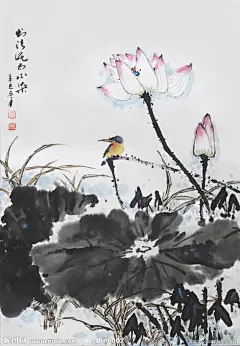 工笔花鸟作品集锦（荷花翠鸟）