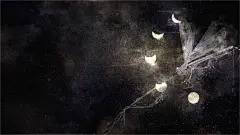 板绘插画绘画壁纸素材底图书签封面_银喉山雀__插画师作品_涂鸦王国gracg.com