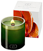 DayNa Decker 植物系列精油香熏蜡烛