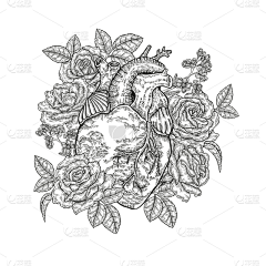 帮我改张图吧采集到生命&艺术
