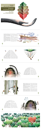 The man who planted trees (illustrated book) on Behance #layout#
