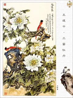 【天狼收藏】王道中工笔牡丹 