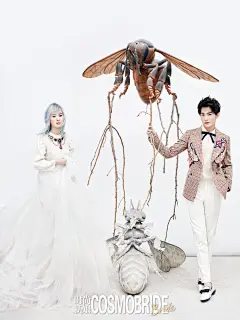 虽然“颜值”二字已然过时，但白夜夫妇同框出现还是让人想不到别的词汇！你们要的“西皮感”，有感受到吗#杨洋# #演员# #影视# #微微一笑很倾城# #三生三世十里桃花# #从你的全世界路过#
摄影师：@柳宗源
编辑：@卢昊大人 、陈希 造型：@Yanneyy
线上购买
@杨洋icon 海报 预售时尚新娘2016年秋季号 封面杨洋&amp;刘亦菲 送杨洋巨幅海报
@刘亦菲 海报预售时尚新娘2016年秋季号 封面杨洋&amp;刘亦菲 送刘亦菲巨幅海报