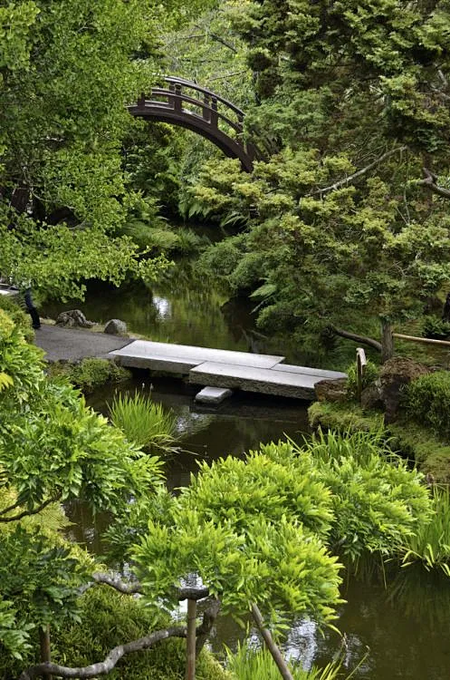 japanese garden图片_禅意景观图片素材-花瓣网