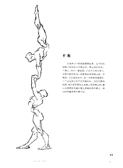 盐画采集到线稿