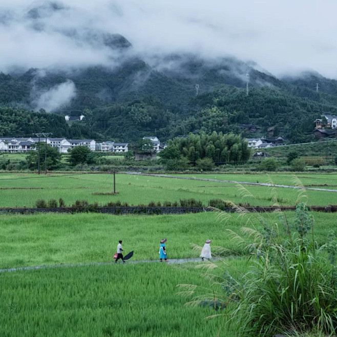 奔赴心中的乡野：湖南溆浦北斗溪 / 山水比德 – mooool木藕设计网