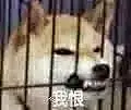 采集图片
