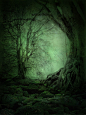 Out of Darkness