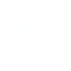 lPFeZXnD采集到素材