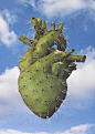 " Dans leur coeur, il y a des cactus... " ( Jacques Dutronc ):