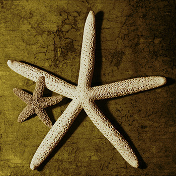 Starfish