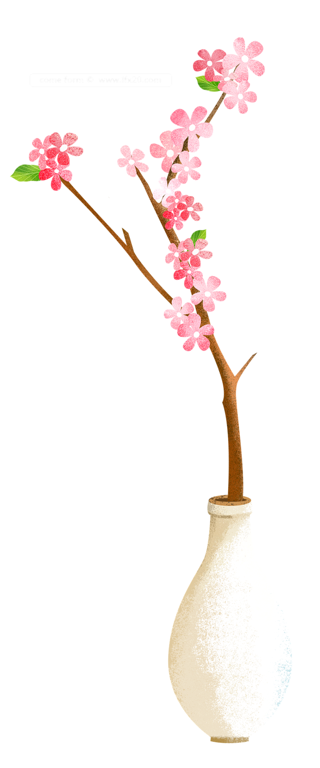 [ 乐分享 ] PNG高清免扣植物
