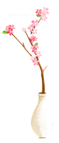 植物 png

