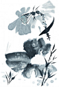 水墨花卉图片