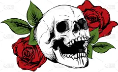 玫瑰,头骨,华丽的,怪异,浪漫,绘制,花,手写
