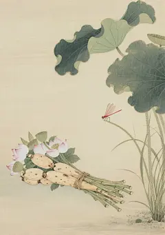 夏日荷塘·清雅之物 (6)