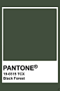 Pantone Black Forest(F7B58)