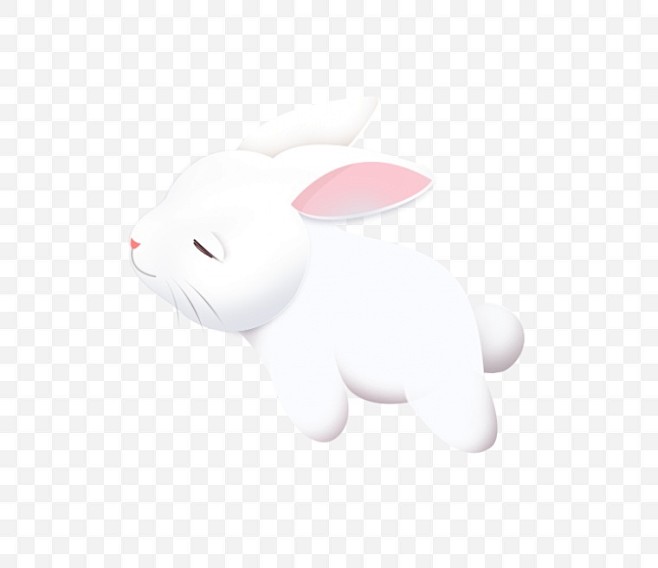 玉兔 小白兔 兔子 中秋节 中秋 月圆 