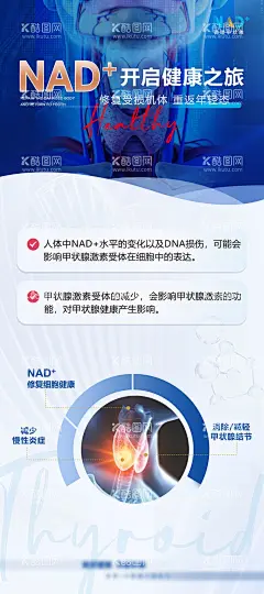 调理甲状腺海报  - 源文件下载【酷图网】海报,医疗,甲状腺,病症,科普,介绍,