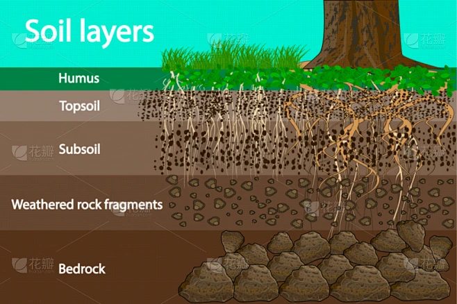 soil layers素材-花瓣网