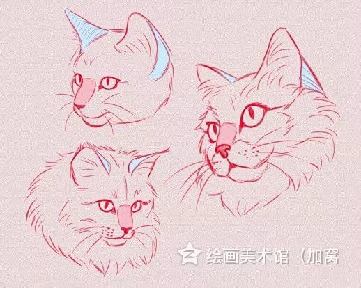  一组猫科动物画法参考