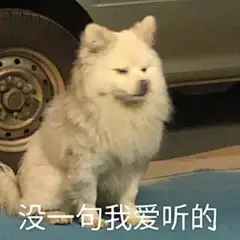 表情包-小红书搜索