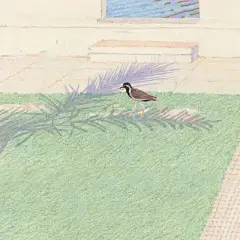 来自韩国插画师Lee Kyutae的一组温柔彩铅插画作品欣赏 ​​​​