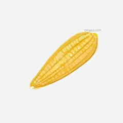玉米食材蔬菜烹饪元素插画图片大小2000x2000px 图片尺寸1.08 MB 来自PNG搜索网 pngss.com 免费免扣png素材下载！插画#厨房#厨艺#公益宣传#海报#简单简约#卡通#绿色#美食#烹饪#食材#手绘#蔬菜#